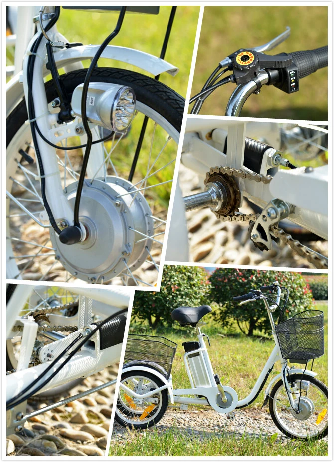 250W Motor Three Wheel Electric Tricycle Customized Mini Cheap Bike for Elder