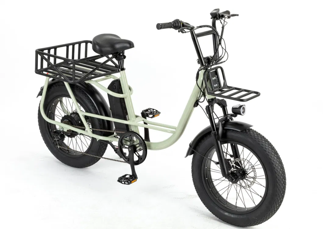 Strong Frame Fat Tire Cargo Electric Bike