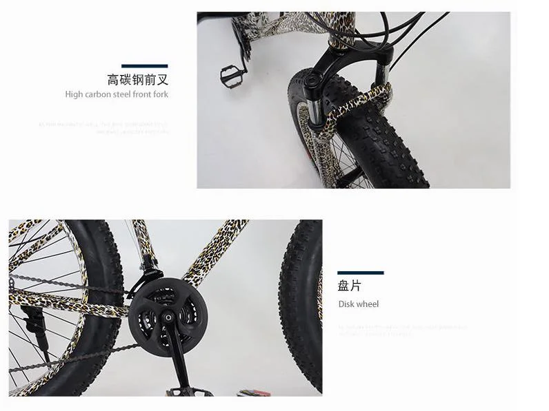 Hot Sale Fashion Bike Snow Mountain Bike Fat Tire Bicycle