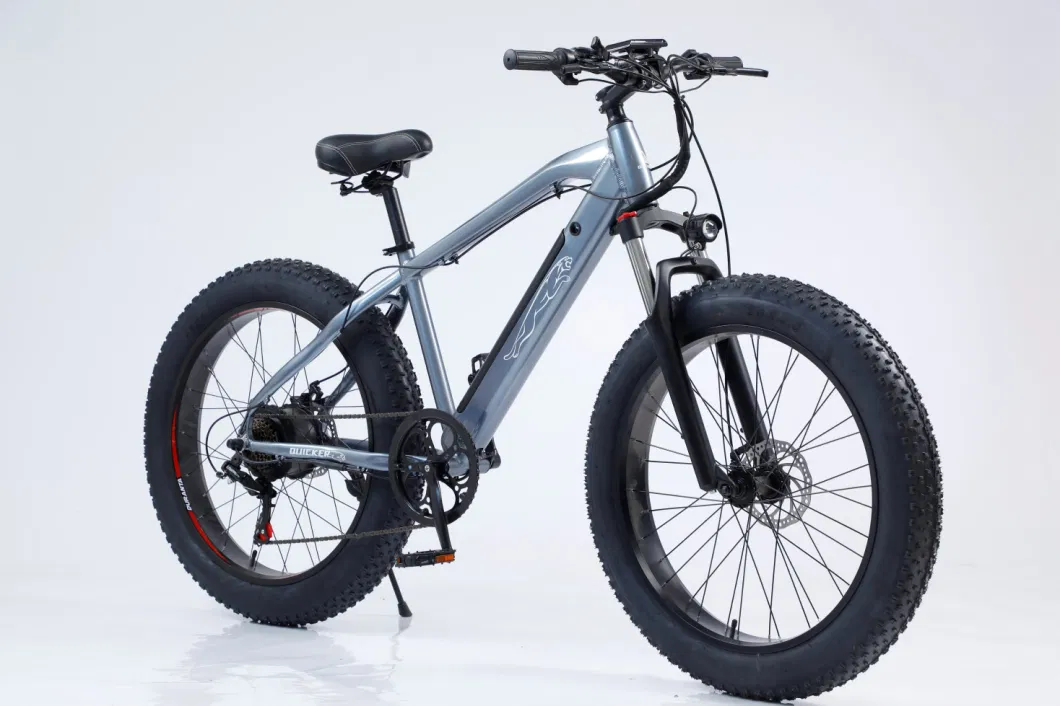 High End OEM Wholesale 27.5/29 Inch 48V 500W Motor Mountain Electric Bike Bicycle