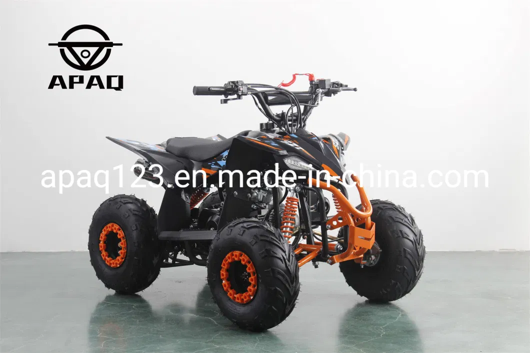 Apaq Best Price ATV 110cc 125cc