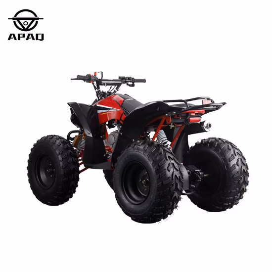 Apq Ten Inch Tire Gasoline ATV Apq125