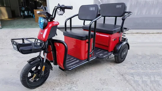 Foldable Electric Bike Three Wheel Mini Car Electric Tricycle Passenger and Cargo Multi Function for Sale