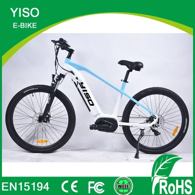 26 Inch Chinese Cheap One Wheel Hidden Battery MID Driver E