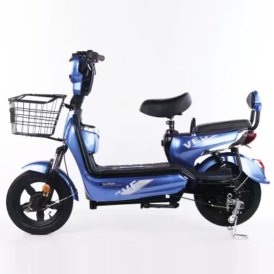 New 2seat Stylish Household Electric Bicycles with Pedals