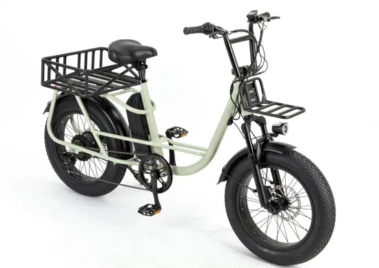 Strong Frame Fat Tire Cargo Electric Bike
