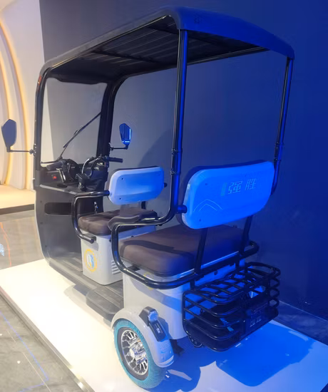Philippine Tricycle Mini Rickshaw Ebike Electric for Sale