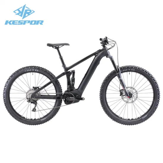 High End OEM Wholesale 27.5/29 Inch 36V 250W/500W MID Drive Motor Mountain Electric Bike Bicycle with Carbon Fiber Frame