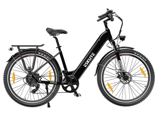 New Torque Sensor E Bike with 36V/20ah