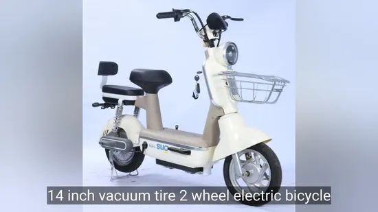 Popular Electric Bicycle Fat