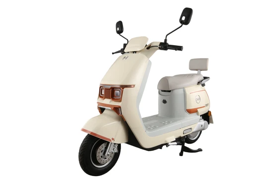 2025 Popular Electric Bicycle for Women 10inch Scooter for Commuter 
