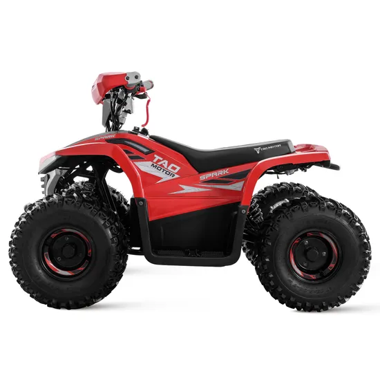Dune Buggy Mini Jeep Four Wheeler ATV Quad Bike Electric ATV 