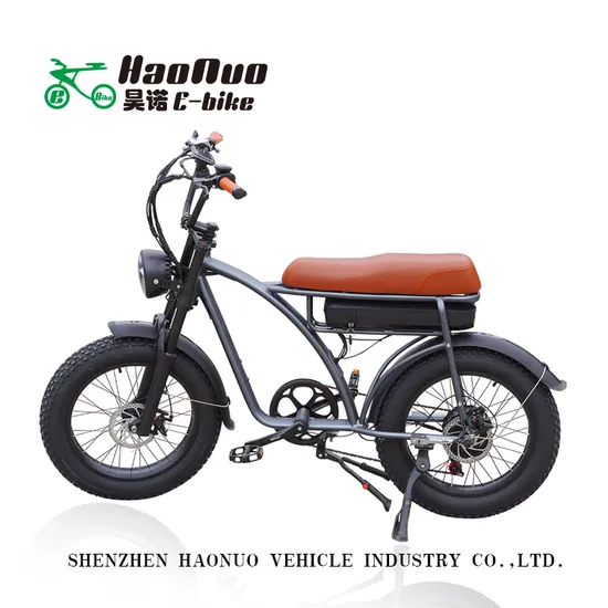 2023 New Model 26 Inch Fat Tyre 48V 500watt High Performance Electric Bike 