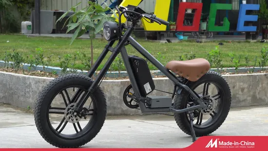 60V3000W Cool Car Electric Car Prince Model Heavy Duty Bike