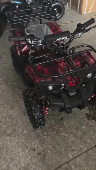49cc 50cc 2 Stroke ATV off