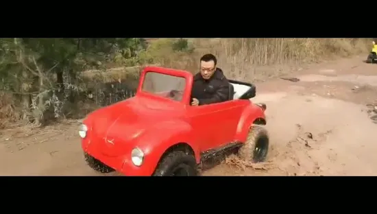 125cc Mini Beetle Car Gasoline Golf Cart 2WD 4WD ATV 