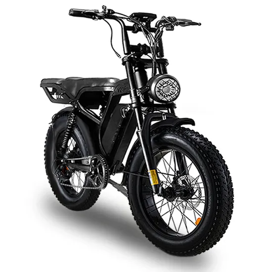 2024 Electric E Bike Fatbike 1000W 48V Big Wheel Electric Heavy Ebike Retro E