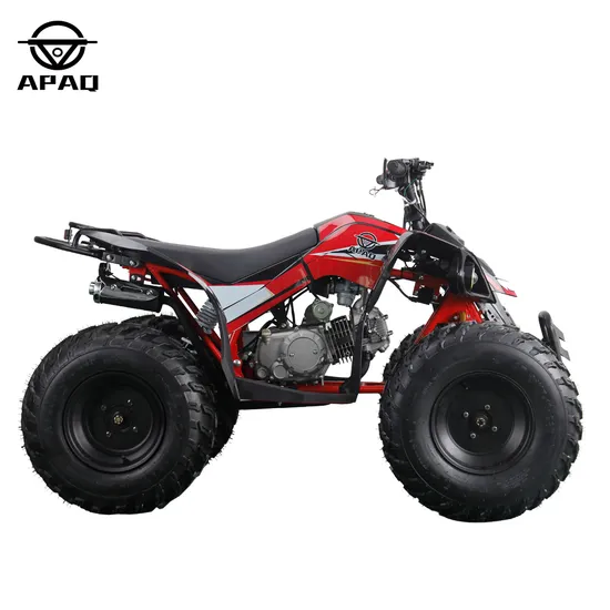 Apq Ten Inch Tire Gasoline ATV Apq125