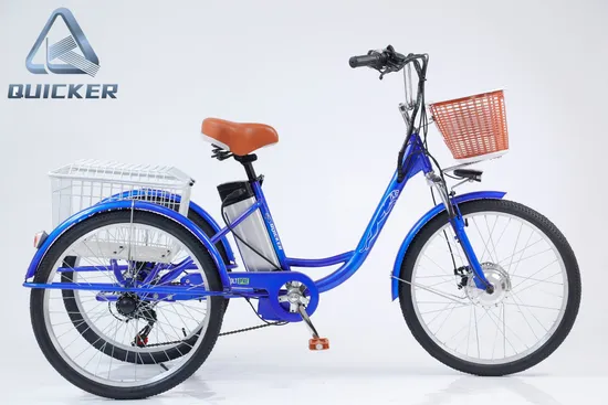 Electric Bike, 26
