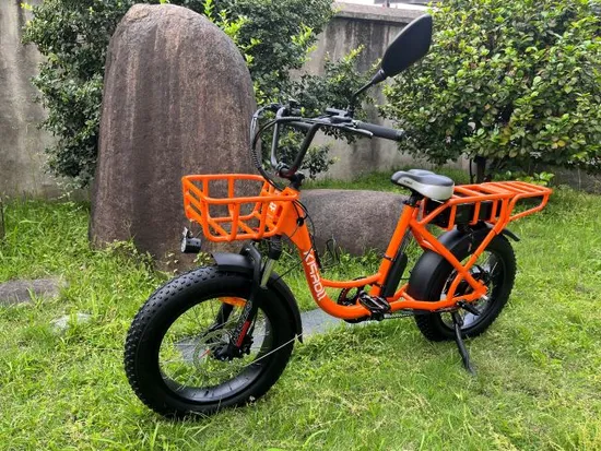 2025 New 1000W 48V 25ah E