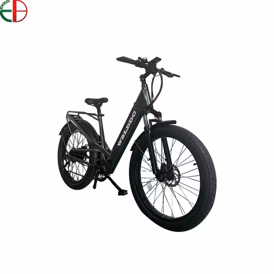 750W 52V Fat Tire Mountain Electric Bike Ebike 5% Discount