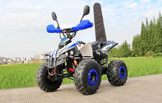 125cc Four Wheel off