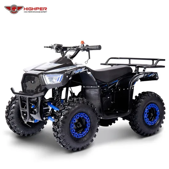 49cc 4 Wheeler Kids Mini ATV Quad Bike 