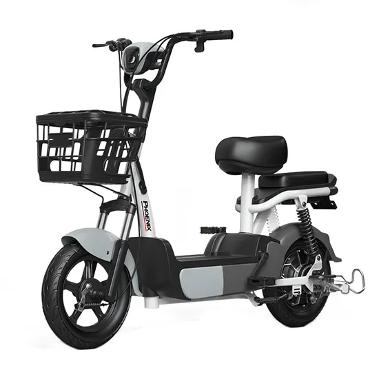 500W 48V 24ah 100km 2 Seats 14 Inch Adult Electric Bike City Electric Bike 