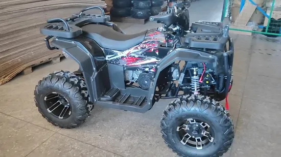 Hot Selling ATV 200cc 300cc Quad Bike Popular Chinese Power Engine Wheels Brake Transmission Automatic 