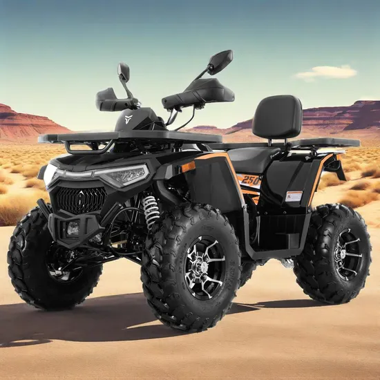 Tao Motor 2025 New Automatic Chain Drive 200cc Petrol Quad ATV 