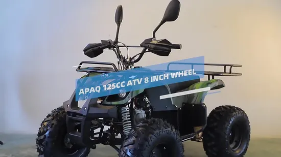 New ATV 125cc Quad 110cc Four Wheel Bikes 