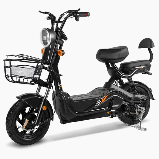 2024 Popular E