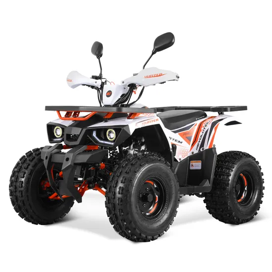 Tao Motor Gasoline Petrol Quad Bike 110cc 125cc ATV with EFI System 