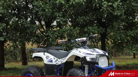 New Electric Kids ATV Adult Quad Bike 4 Wheeler 60V 1000W 