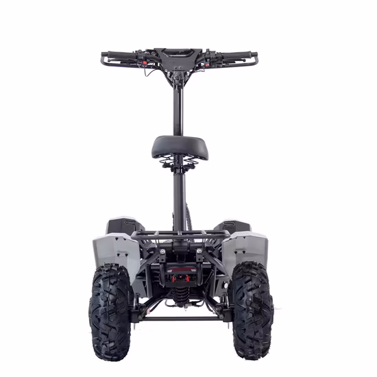 Electric ATV Quad Bike Homologation Quad ATV Sports ATV ATV Quad Kids ATV Electric Scooter 150cc