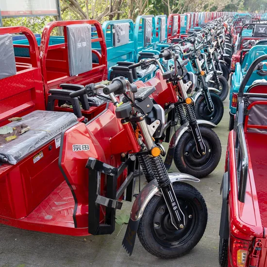 Wholesale 48V 800W Mini Rickshaw Electric Cargo Bike 3 Wheel Tricycle 