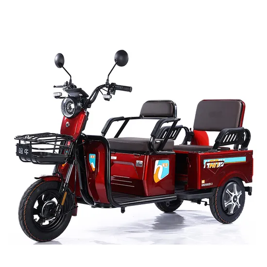 Mini Electric Car 3 Wheels Bicycle E