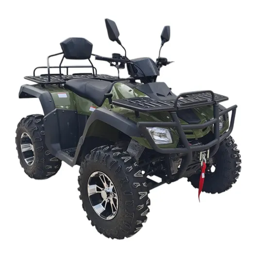 300/350/500cc Gasoline 4X4 Quad ATV 
