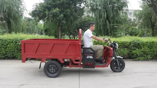 500W Motorized Mini Electric Tricycles Load 300kg Cargo Electric Tricycle Bike for Adults Open Body Type Tricycles Motorcycle 