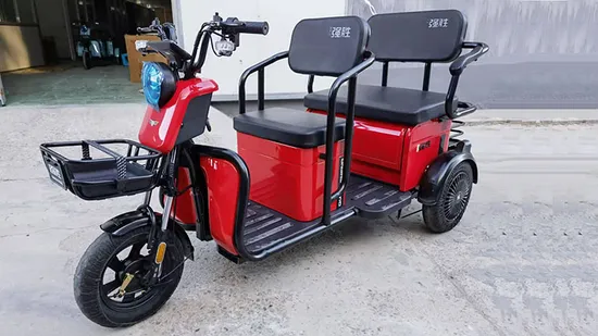 Foldable Electric Bike Three Wheel Mini Car Electric Tricycle Passenger and Cargo Multi Function for Sale 