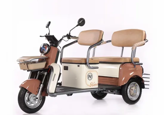Wholesale Electric Tricycle for Two People Mini Tricycle Electric Bike 3 Wheel 