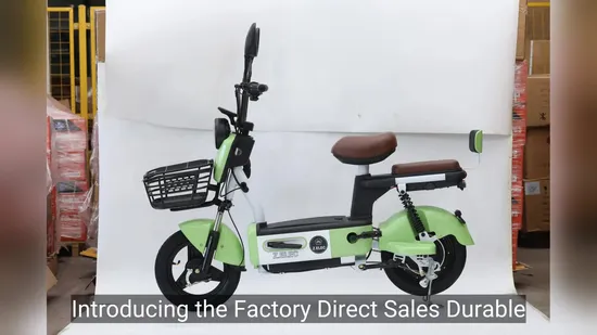 Factory Direct Sales Durable Smart Electric Bike for Wholesale Adult Electric Bicycle 