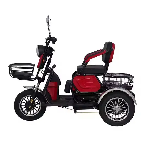 New Arrival Mini Electric Tricycle for Adults 60V Disabled Bike 