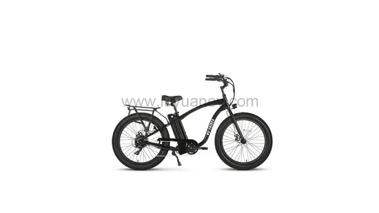 Electric Bike Bicycle LUYUAN EB E1 SAMSUNG Battery 250W City Bike for Adults 
