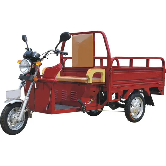 Wholesale Electric Tricycle for Two People Mini Tricycle Electric Bike 3 Wheel 