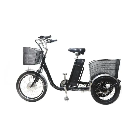 250W Motor Three Wheel Electric Tricycle Customized Mini Cheap Bike for Elder 