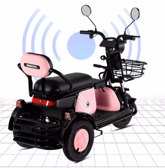 Factory Hot Sale 1~3 Hours Mini Dirt Rear Hub Motor Bike Electric Tricycle for Adult