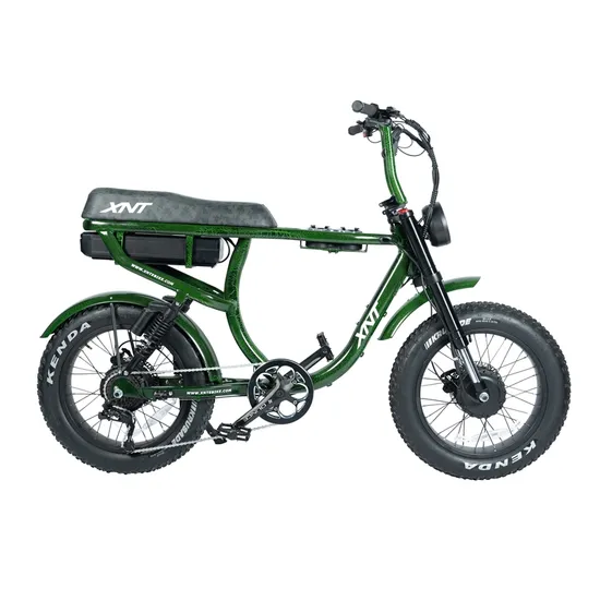 Cheap 2000W Electric Bike Motorcycle Fat Tire 52V Big Capacity Battery Dirt 