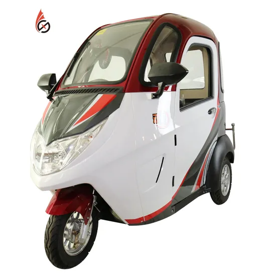60V800W Auto Rickshaw Mini Electric Bike Tricycle Adult with Passenger Seat 