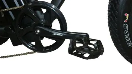 Enclosed 36V Fat Tire EEC Electric Mini Swing Car Trike with Cabin Philippines 500W 